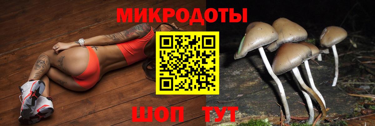 Грязи  Псилоцибиновые грибы мухоморы  Вход с VPN 